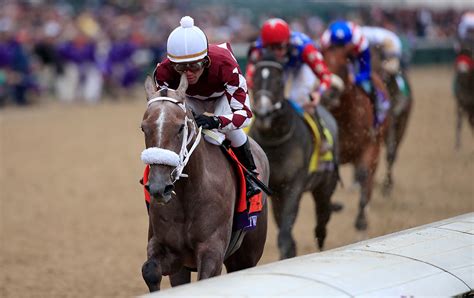 usa horse racing tips.